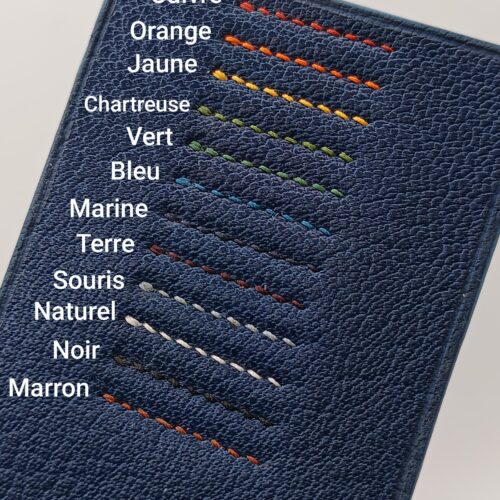 collier en cuir bleu pour chien