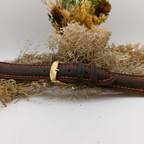 Bracelet de Montre