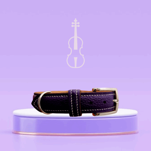 collier en cuir violet pour chien - haut de gamme